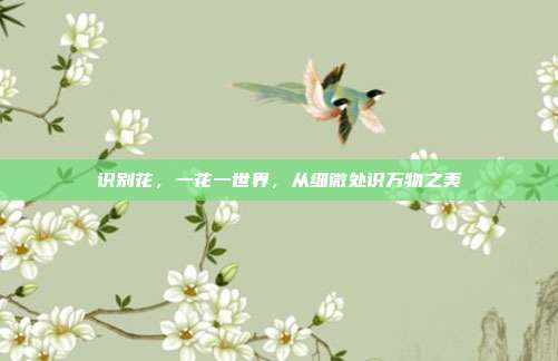 识别花,一花一世界,从细微处识万物之美