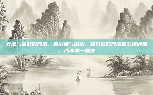 去湿气最好的方法,告别湿气困扰,最有效的方法是系统调理,而非单一秘诀
