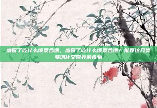 感冒了吃什么饭菜合适,感冒了吃什么饭菜合适?推荐这几类易消化又营养的食物