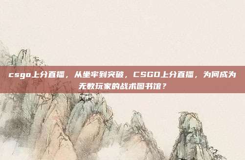 csgo上分直播,从坐牢到突破,CSGO上分直播,为何成为无数玩家的战术图书馆?