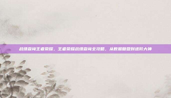战绩查询王者荣耀,王者荣耀战绩查询全攻略,从数据复盘到进阶大神