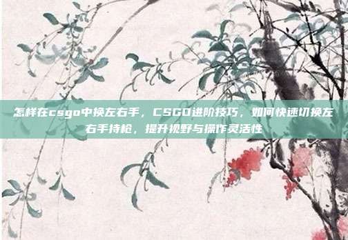 怎样在csgo中换左右手,CSGO进阶技巧,如何快速切换左右手持枪,提升视野与操作灵活性