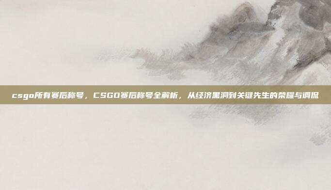 csgo所有赛后称号,CSGO赛后称号全解析,从经济黑洞到关键先生的荣耀与调侃