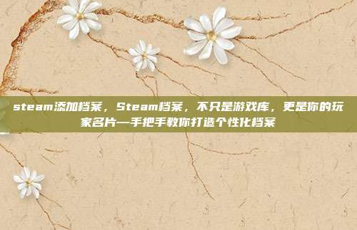 steam添加档案,Steam档案,不只是游戏库,更是你的玩家名片—手把手教你打造个性化档案