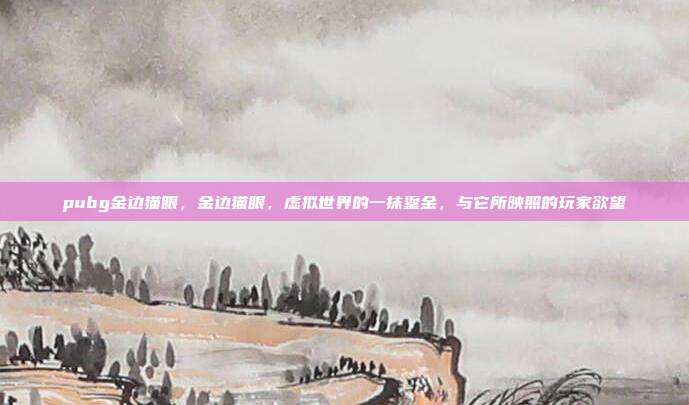 pubg金边猫眼,金边猫眼,虚拟世界的一抹鎏金,与它所映照的玩家欲望