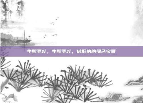 牛膝茎叶,牛膝茎叶,被低估的绿色宝藏