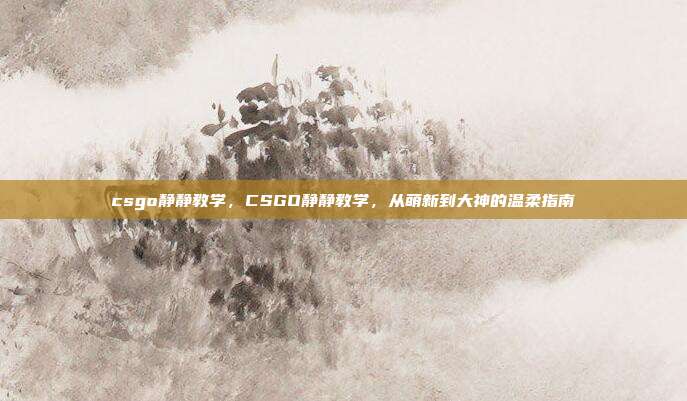 csgo静静教学,CSGO静静教学,从萌新到大神的温柔指南