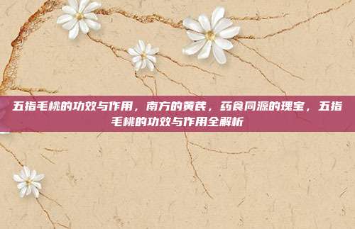 五指毛桃的功效与作用,南方的黄芪,药食同源的瑰宝,五指毛桃的功效与作用全解析