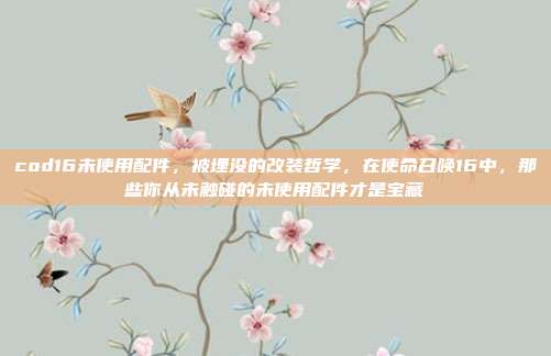 cod16未使用配件,被埋没的改装哲学,在使命召唤16中,那些你从未触碰的未使用配件才是宝藏