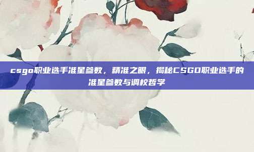 csgo职业选手准星参数,精准之眼,揭秘CSGO职业选手的准星参数与调校哲学