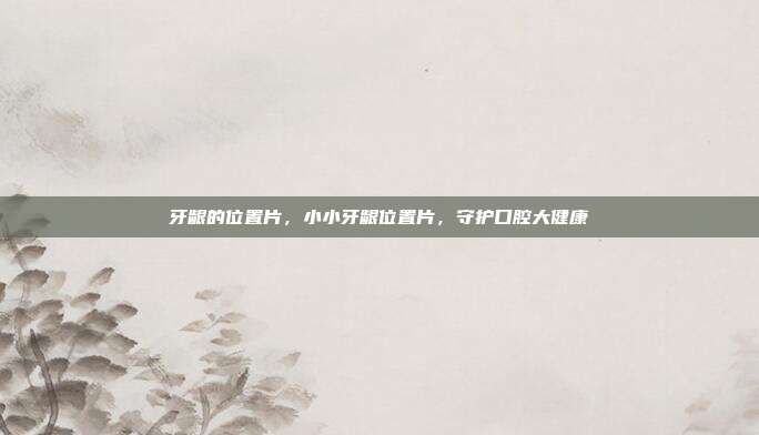 牙龈的位置片,小小牙龈位置片,守护口腔大健康