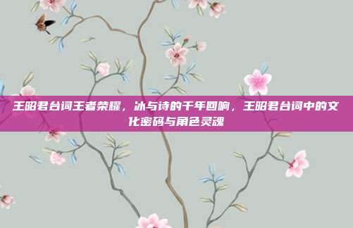 王昭君台词王者荣耀,冰与诗的千年回响,王昭君台词中的文化密码与角色灵魂