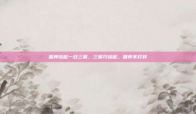 营养搭配一日三餐,三餐巧搭配,营养不打烊