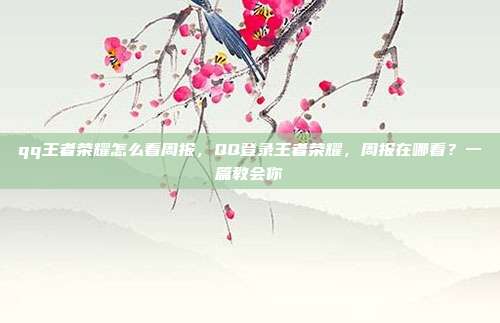qq王者荣耀怎么看周报，QQ登录王者荣耀，周报在哪看？一篇教会你