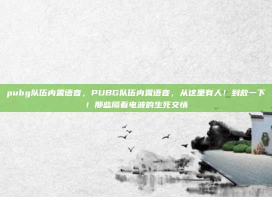 pubg队伍内置语音,PUBG队伍内置语音,从这里有人!到救一下!那些隔着电波的生死交情