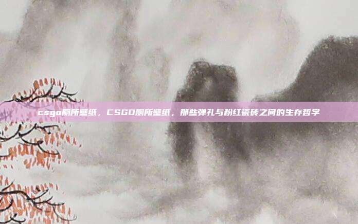 csgo厕所壁纸,CSGO厕所壁纸,那些弹孔与粉红瓷砖之间的生存哲学
