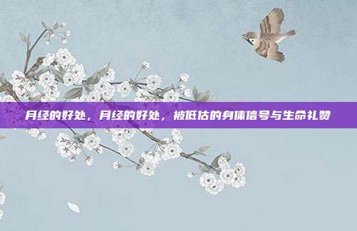 月经的好处,月经的好处,被低估的身体信号与生命礼赞