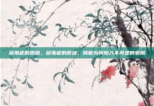 尿毒症的原因,尿毒症的原因,肾脏为何陷入不可逆的衰竭