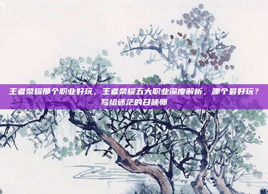 王者荣耀那个职业好玩,王者荣耀五大职业深度解析,哪个最好玩?写给迷茫的召唤师