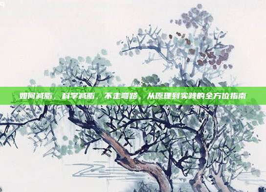 如何减脂,科学减脂,不走弯路,从原理到实践的全方位指南
