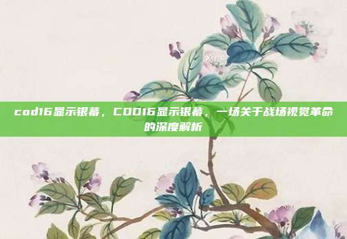 cod16显示银幕,COD16显示银幕,一场关于战场视觉革命的深度解析