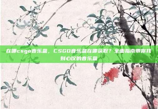 在哪csgo音乐盒,CSGO音乐盒在哪获取?全面指南带你找到心仪的音乐盒