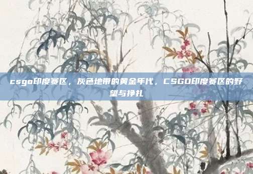 csgo印度赛区,灰色地带的黄金年代,CSGO印度赛区的野望与挣扎