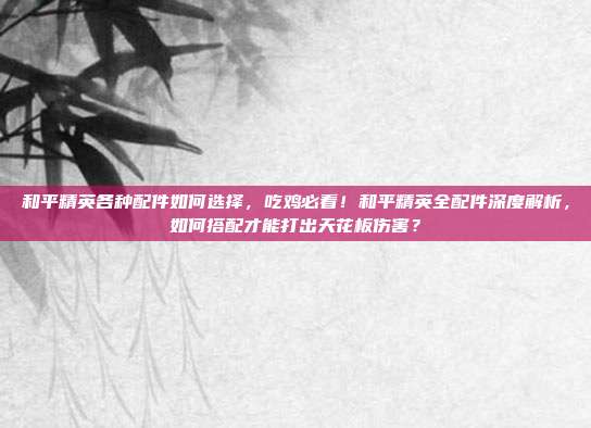 和平精英各种配件如何选择,吃鸡必看!和平精英全配件深度解析,如何搭配才能打出天花板伤害?
