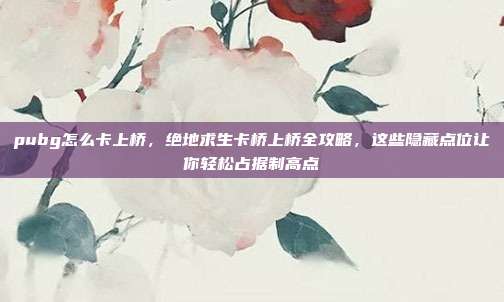 pubg怎么卡上桥,绝地求生卡桥上桥全攻略,这些隐藏点位让你轻松占据制高点