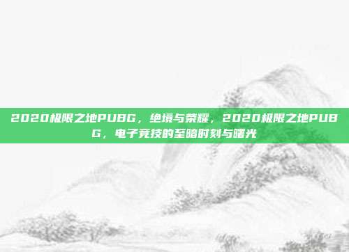 2020极限之地PUBG,绝境与荣耀,2020极限之地PUBG,电子竞技的至暗时刻与曙光