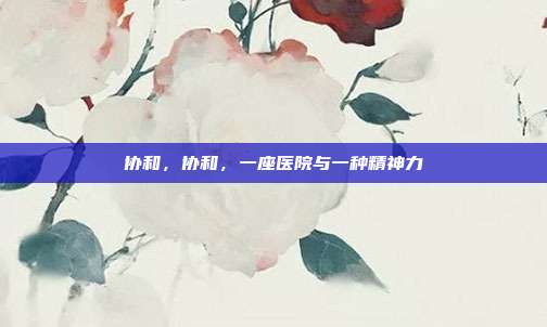 协和,协和,一座医院与一种精神力