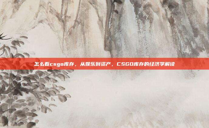 怎么看csgo库存,从娱乐到资产,CSGO库存的经济学解读