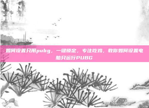 如何设置只用pubg,一键锁定,专注吃鸡,教你如何设置电脑只运行PUBG