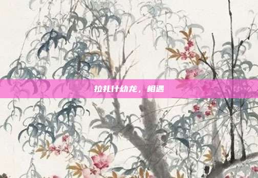 拉扎什幼龙,相遇
