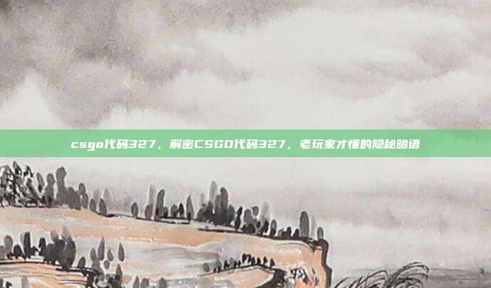 csgo代码327,解密CSGO代码327,老玩家才懂的隐秘暗语