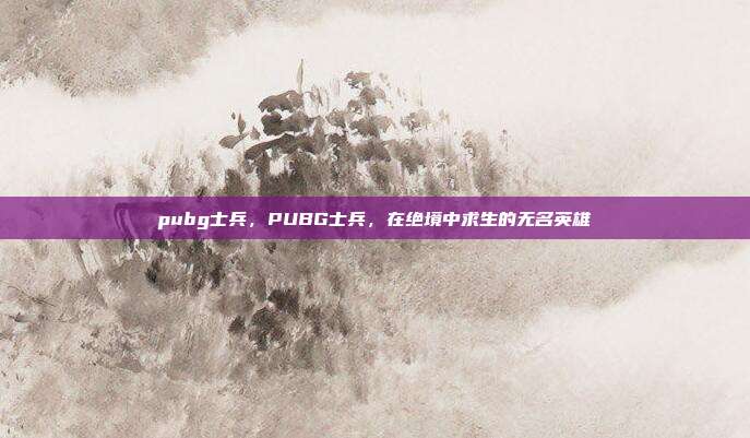 pubg士兵,PUBG士兵,在绝境中求生的无名英雄