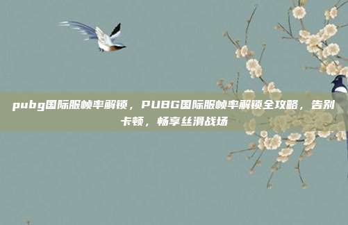 pubg国际服帧率解锁,PUBG国际服帧率解锁全攻略,告别卡顿,畅享丝滑战场
