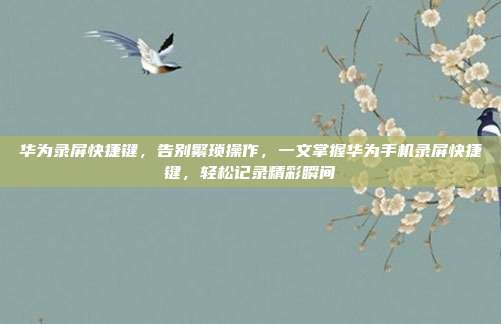 华为录屏快捷键,告别繁琐操作,一文掌握华为手机录屏快捷键,轻松记录精彩瞬间