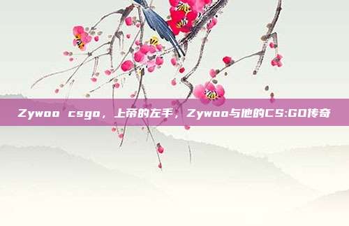 Zywoo csgo,上帝的左手,Zywoo与他的CS:GO传奇