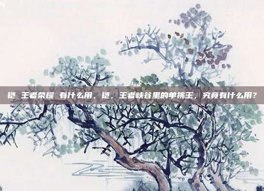 铠 王者荣耀 有什么用,铠,王者峡谷里的单挑王,究竟有什么用?