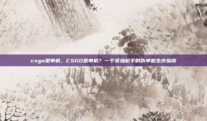 csgo是单机,CSGO是单机?一个孤独枪手的伪单机生存指南