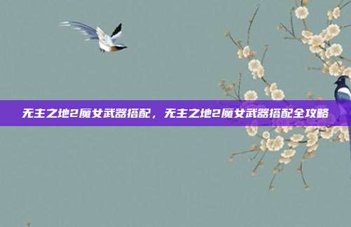 无主之地2魔女武器搭配,无主之地2魔女武器搭配全攻略