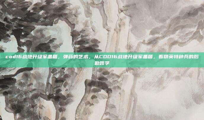 cod16战地升级军备箱,弹药的艺术,从COD16战地升级军备箱,看精英特种兵的后勤哲学