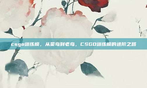 csgo训练模,从菜鸟到老鸟,CSGO训练模的进阶之路