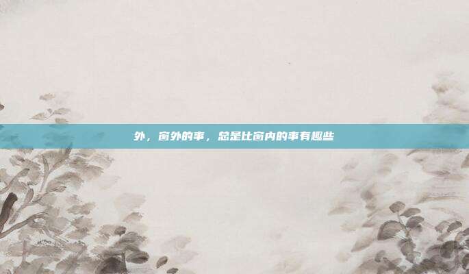 外,窗外的事,总是比窗内的事有趣些