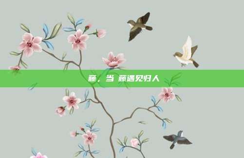 榼藤,当榼藤遇见归人
