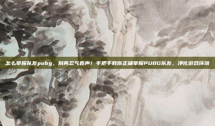 怎么举报队友pubg,别再忍气吞声!手把手教你正确举报PUBG队友,净化游戏环境