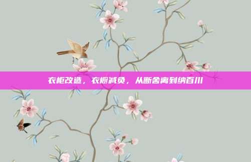 衣柜改造,衣橱减负,从断舍离到纳百川