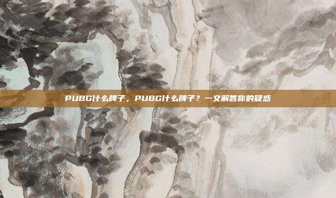 PUBG什么牌子,PUBG什么牌子?一文解答你的疑惑