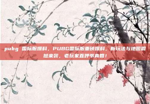 pubg 国际服爆料,PUBG国际服重磅爆料,新玩法与地图震撼来袭,老玩家直呼爷青回!